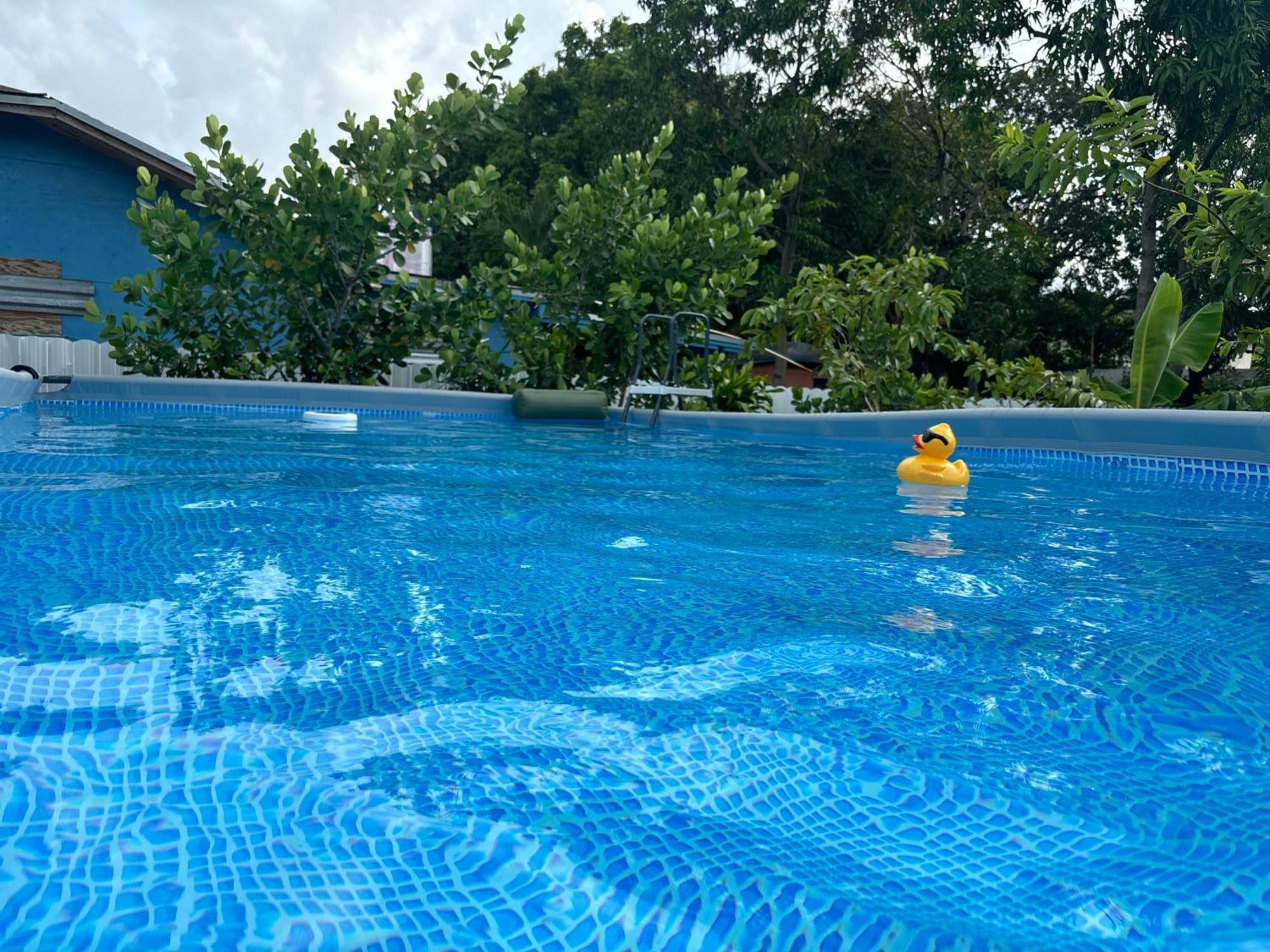 Mini House Oasis Hotel Miami Springs Buitenkant foto